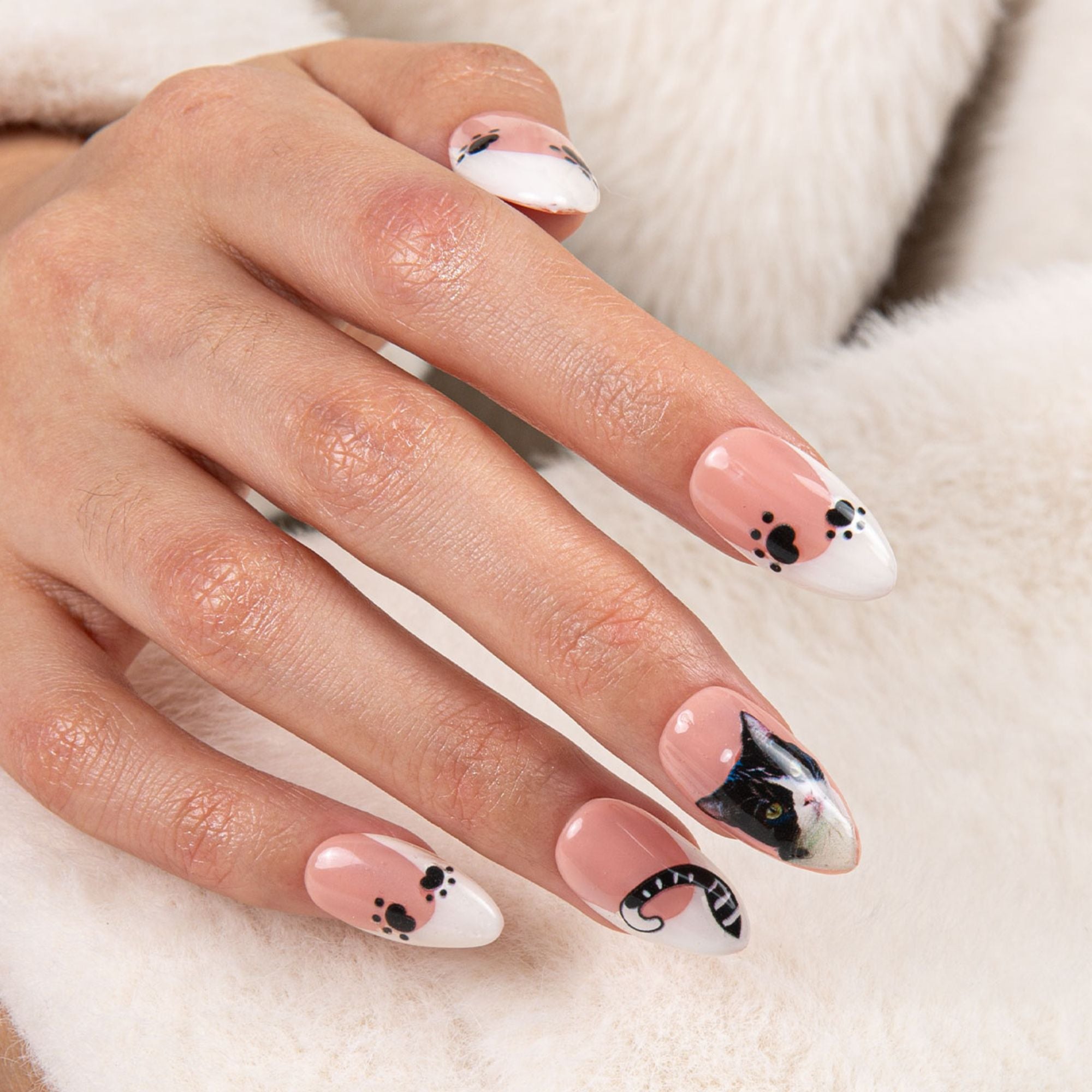 French Tip Cat