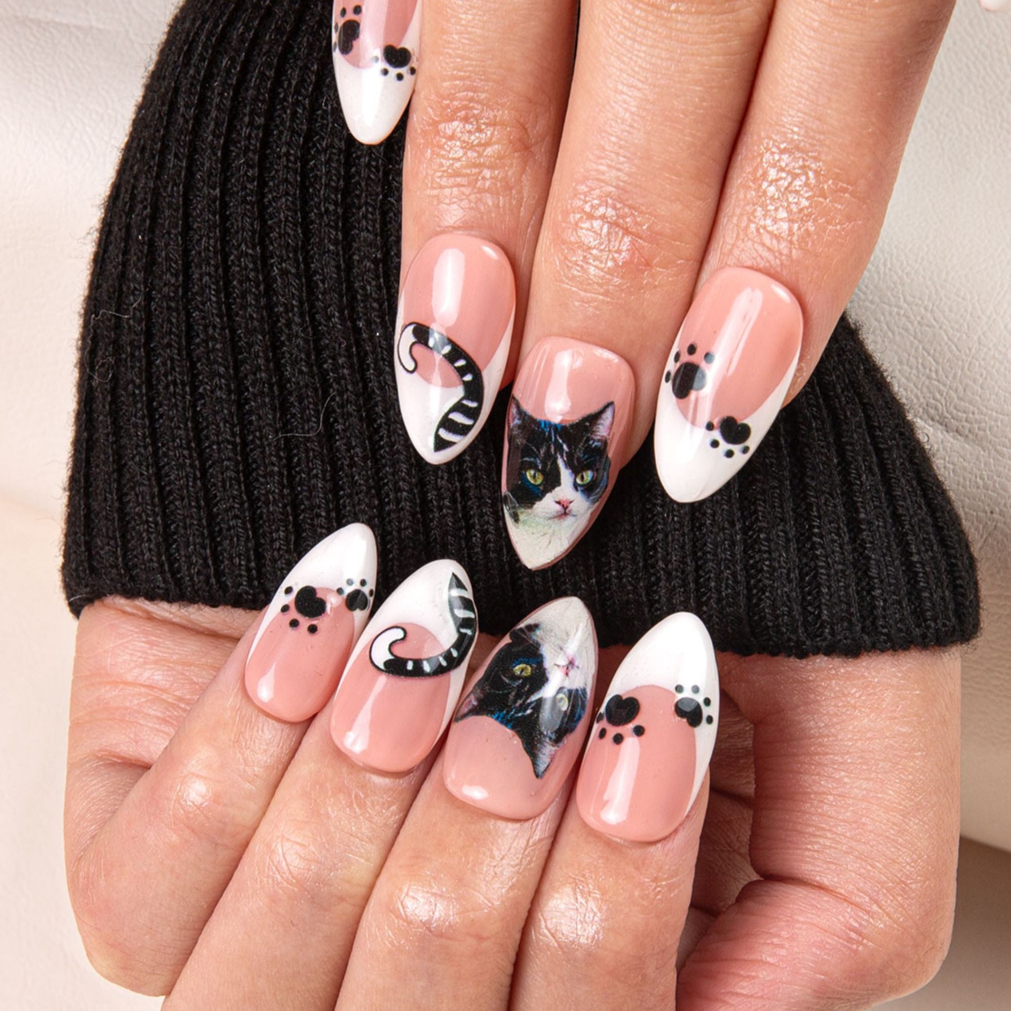 French Tip Cat