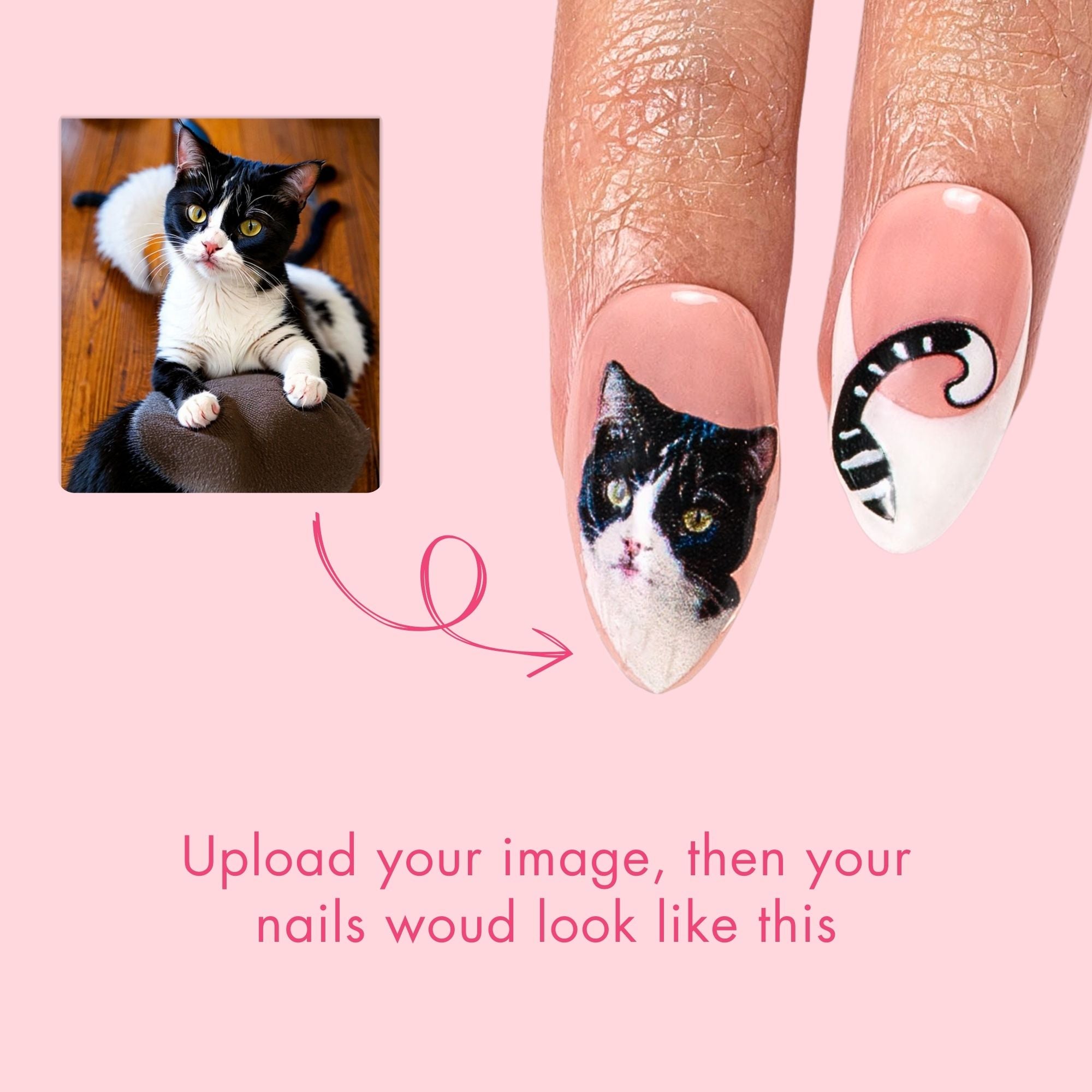 French Tip Cat