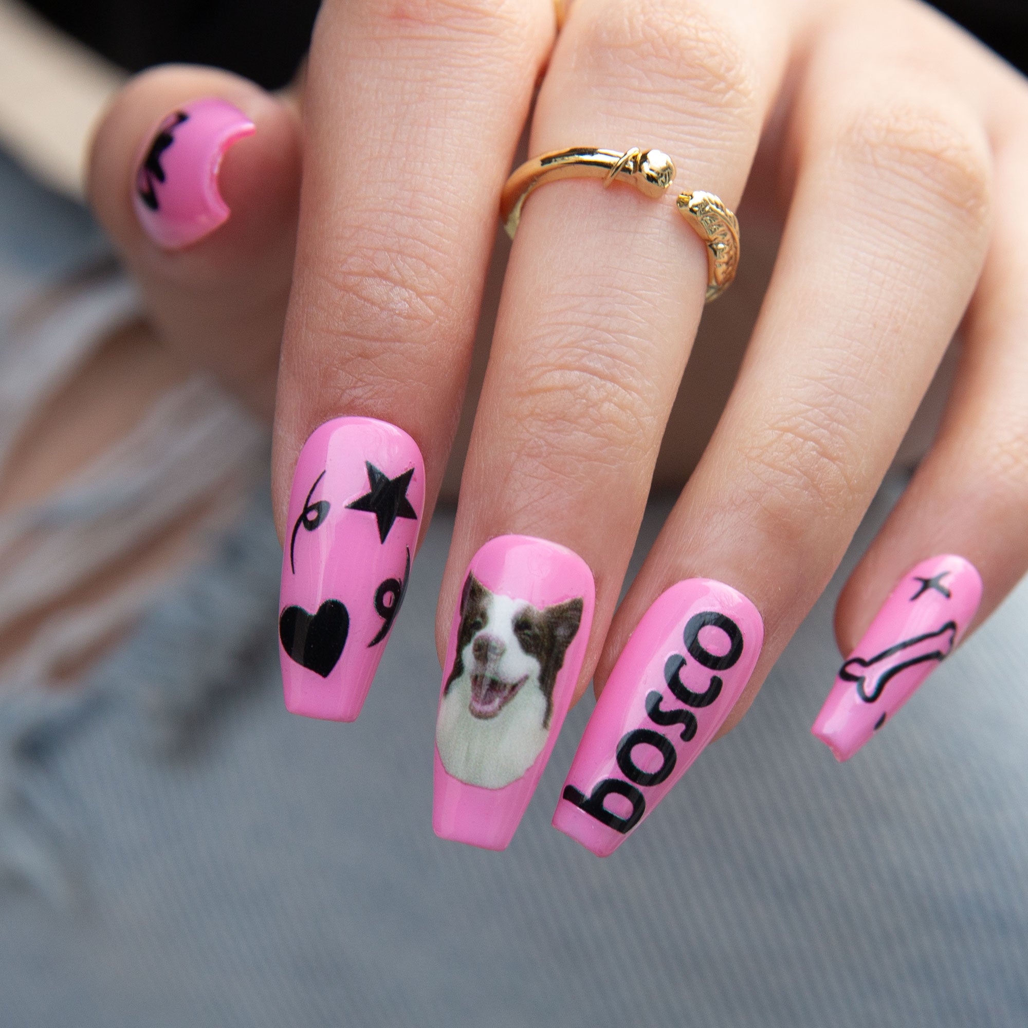 Paws and Pink dreams C028
