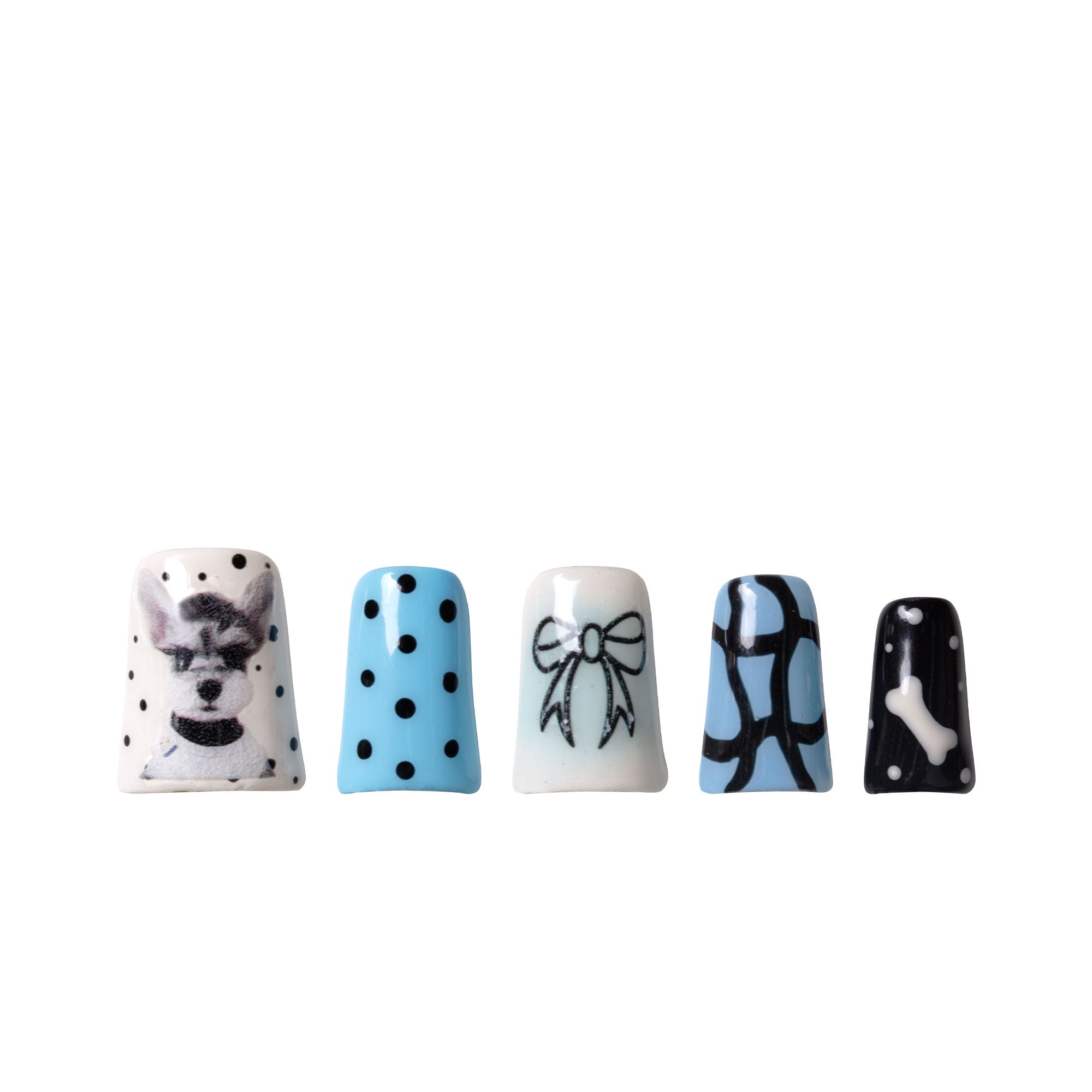 Pawsh & Playful C023